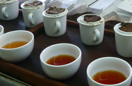 紅茶教室：紅茶とアロマの教室ティーキャンディー、大阪府交野市